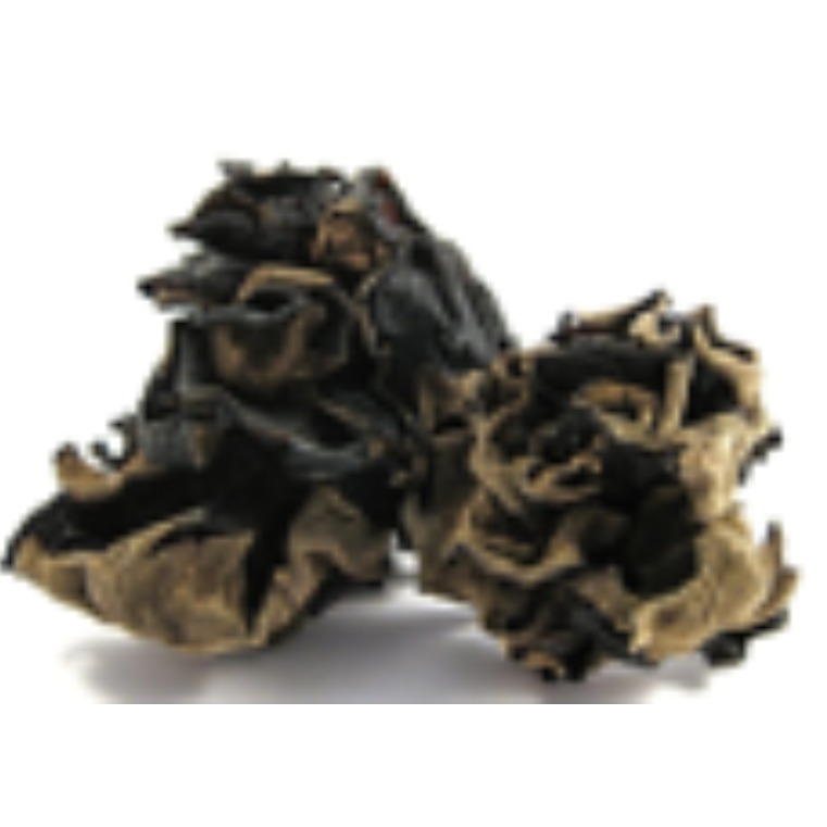 ကြွက်နားရွက်မှို (Ear Mushroom -Dry) 500g