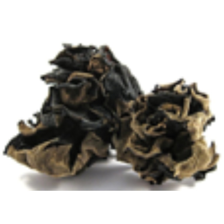 ကြွက်နားရွက်မှို (Ear Mushroom -Dry) 300g