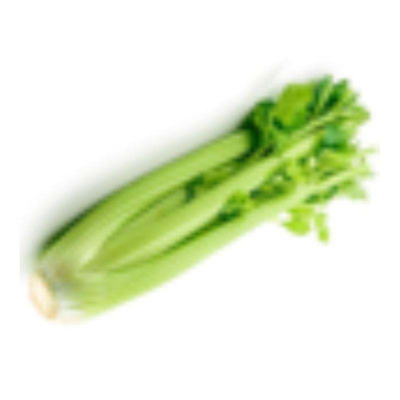 တရုပ်နံနံချောင်း (Celery Stick)