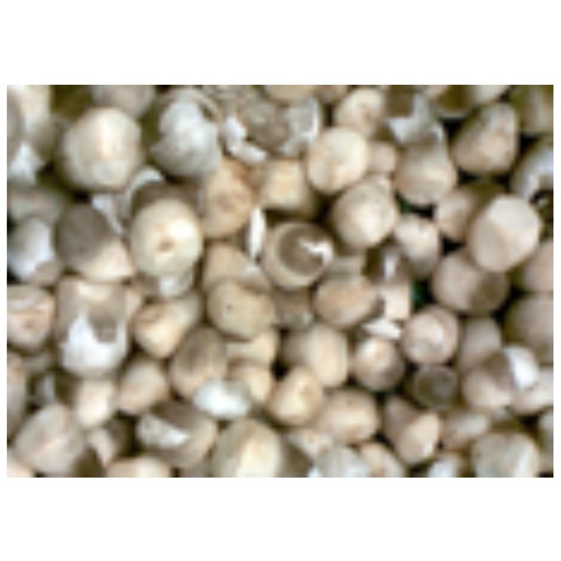 ကောက်ရိုးမှို (Straw Mushroom) 500g