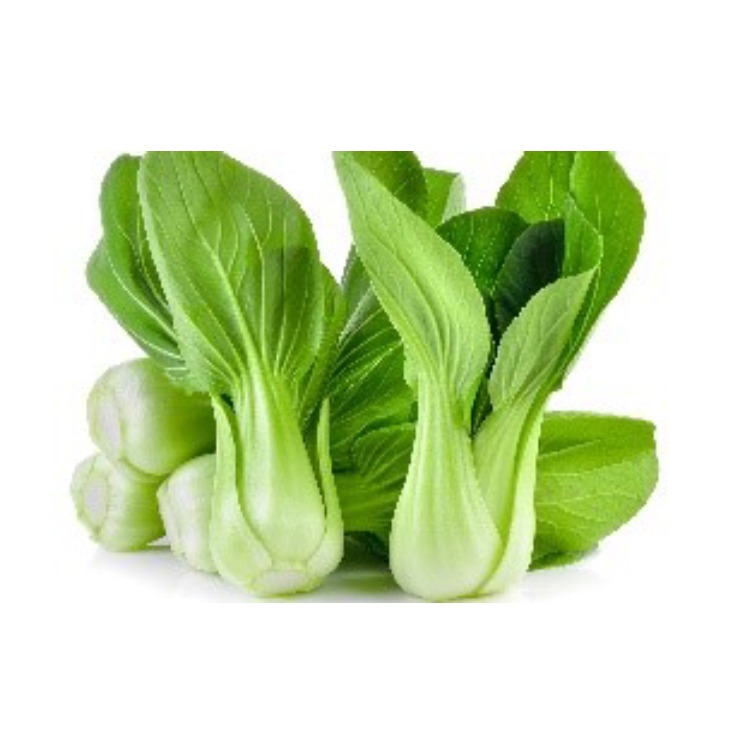 ထိုင်ဝမ်မုန့်ညှင်း (Bok Choy)
