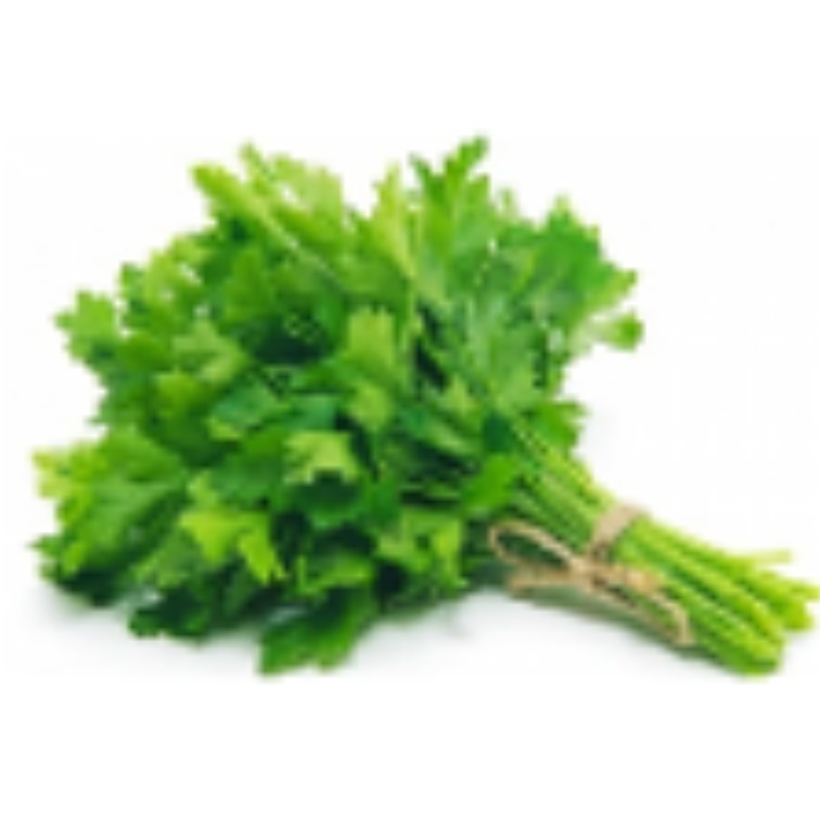 တရုပ်နံနံ (Celery)
